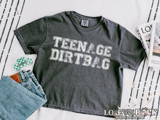 Teenage Dirtbag Boxy Cropped Tee | Love vs. Rock